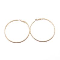 Gold Metal Exaggerated Big Earrings main image 6