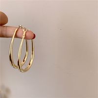 Einfache Übertriebene Ovale Ohrringe Aus Koreanischem Metall sku image 1