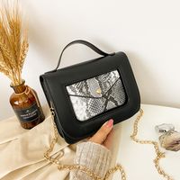 Autumn And Winter Casual New Fashion Snake Print Shoulder Messenger Small Square Bag sku image 3