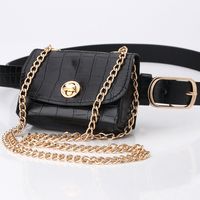 Fashion Leopard Belt Bag Mini Chain Bag  All-match Clothing Belt main image 6