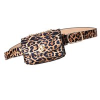 Fashion Leopard Belt Bag Mini Chain Bag  All-match Clothing Belt main image 3
