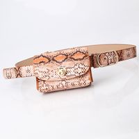 Fashion Leopard Belt Bag Mini Chain Bag  All-match Clothing Belt sku image 3