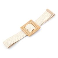 New Pp Straw Woven  Round Buckles Fashion Casual Decoration All-match Trousers Elastic Belt sku image 10