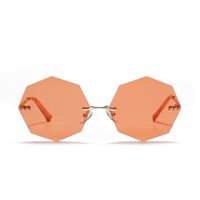 Polygon  Retro Metal Sunglasses main image 4