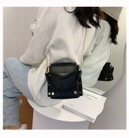 Portable Chain Messenger Fashion Single Shoulder Bag sku image 3