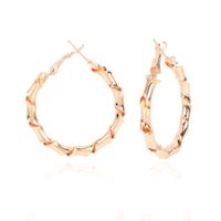 Retro Fashion Alloy Hollow Earring main image 6