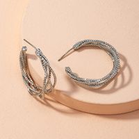 Fashion Simple Twisted Silver Earrings main image 6