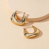 Hot-selling Geometric Metal Earrings main image 3