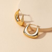 Hot-selling Geometric Metal Earrings sku image 1