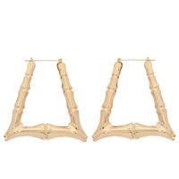 Large Bamboo-shaped Exaggerated Golden Circle Punk Hip-hop Earrings main image 11