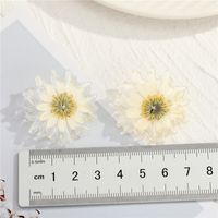 New  925 Silver Needle Transparent Gold Foil Daisy  Earrings main image 3