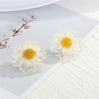 New  925 Silver Needle Transparent Gold Foil Daisy  Earrings main image 4