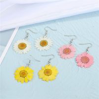 Korea Dried Flower  Earrings main image 1