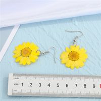 Korea Dried Flower  Earrings main image 3