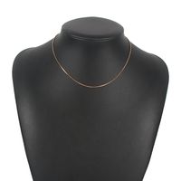 Hot-selling  Simple Snake Bone Chain Necklace main image 3