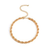 Wholesale Jewelry Fashion Geometric Iron Necklace main image 6