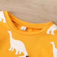 New Children's Long Sleeve Cartoon Dinosaur Print  Sweater Trousers Two-piece Set Wholesale main image 4