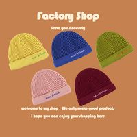 Korean Fashion All-match Tri-fold Landlord  Retro  Trend Knitted Hat main image 6