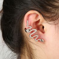 Mode Übertriebene Schlangenförmige Ohrringe main image 6