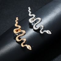 Fashion Exaggerated Snake-shaped Earrings main image 4