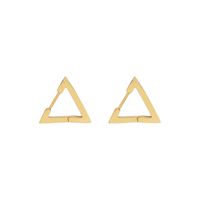 Fashion Geometric Plating Titanium Steel No Inlaid Earrings main image 6