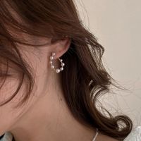 U-shaped Pearl Earrings Silver Needle main image 1