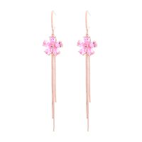 Boucles D&#39;oreilles À La Mode Micro Diamant Long Pompons sku image 2