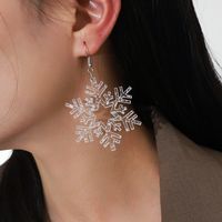 Snowflake Six Pointed Star Pendant Earrings main image 1