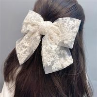Big Lace Double Bow Hairpin main image 1