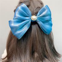 Trendy Fabric Large Double-layer Bow Hairpin sku image 1
