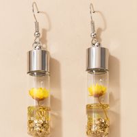 Flower Specimen Glass Bottle Earrings main image 5