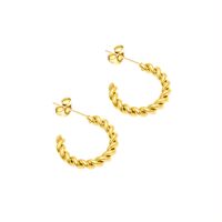 Ensemble De Boucles D&#39;oreilles Collier Hypoallergénique En Acier Titane Fashion Twist Pour Femme sku image 32