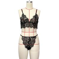 Three-point Lace Hollow Sexy Underwear Suit main image 4