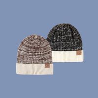 Fashion Leather Label Two-color Woolen Hat main image 2