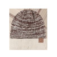 Fashion Leather Label Two-color Woolen Hat main image 6