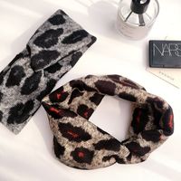 Nuevo Estilo Retro Coreano Simple Diadema De Leopardo Todo Fósforo main image 1