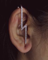 Embedded Diamond Simple Piercing Ear Needles Lightning Leaf Diagonal Stud Earrings sku image 25