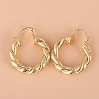 Simple Twisted  Circle Hoop Earrings main image 5