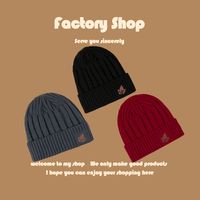 Embroidery Knit Korean Fashion Warm Woolen Hat main image 2