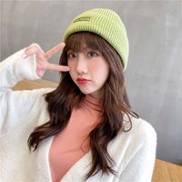 Korean Solid Color Knitted Wool Embroidery Fashion Warm Hat main image 3