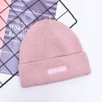 Korean Solid Color Knitted Wool Embroidery Fashion Warm Hat sku image 6