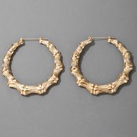 Hot-selling Bamboo Exaggerated Alloy Fashion  Earrings main image 2