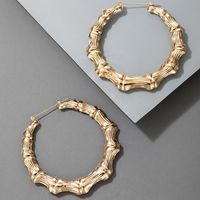 Hot-selling Bamboo Exaggerated Alloy Fashion  Earrings main image 5