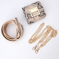 Fashion Belt Waist Chain Small Bag main image 5