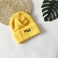 Cartoon Puppy Winter New Wild Embroidery Couples Woolen Hat Outdoor Cold-proof Knitted Hat sku image 4