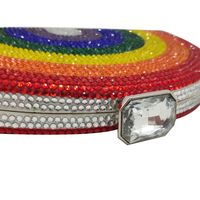 Diamond Rainbow Banquet Bag main image 4