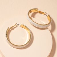 New Exaggerated Geometric Simple Earrings main image 5