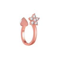 Wholesale Jewelry Star Copper Plating Earrings sku image 2