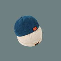 Blue Corduroy Landlord  Trendy  Hat main image 4