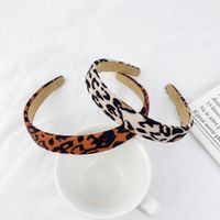 Leopard Print Retro Striped Headband main image 4